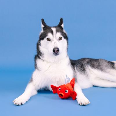 Show full view: Fringe Studio Reel Me In Rubber Plush Dog Toy slide 4 of 7