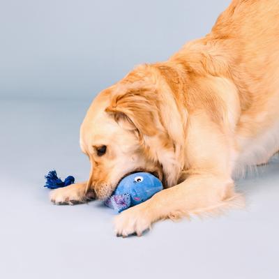 Show full view: Fringe Studio Do The Right Sting Plush Dog Toy slide 5 of 5