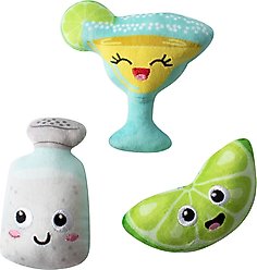 Fringe Studio On Margarita Time 3 Piece Sm Dog Toy