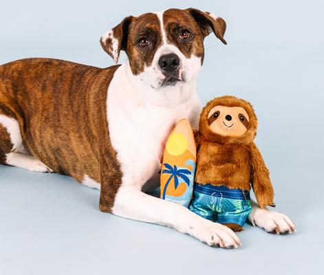 Show full view: Fringe Studio Makin Waves Plush Dog Toy slide 3 of 6