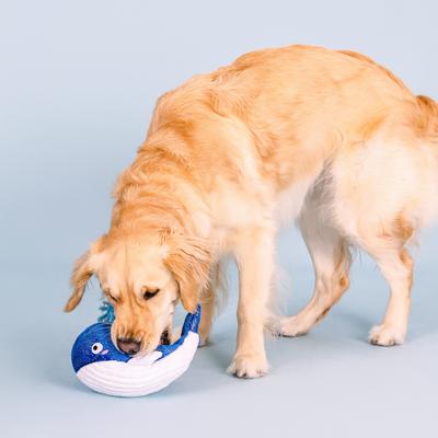 Show full view: Fringe Studio Whale, Hello There Plush Dog Toy slide 4 of 5