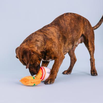 Show full view: Fringe Studio Nothin But Noodles 2 Piece Dog Toy slide 3 of 4