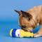 Show in main carousel: Fringe Studio Barkarona Rubber Plush Dog Toy slide 5 of 7