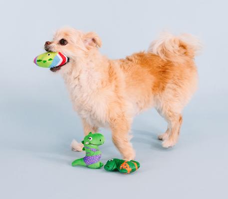 Show full view: Fringe Studio Rawrin Summer 3 Piece Small Dog Toy slide 3 of 6