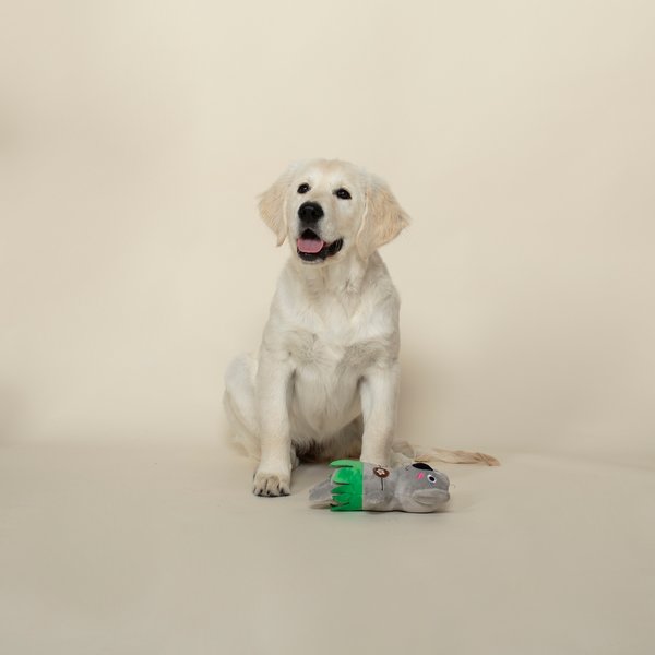 Fringe Studio Shake Your Palm Palms Plush Dog Toy