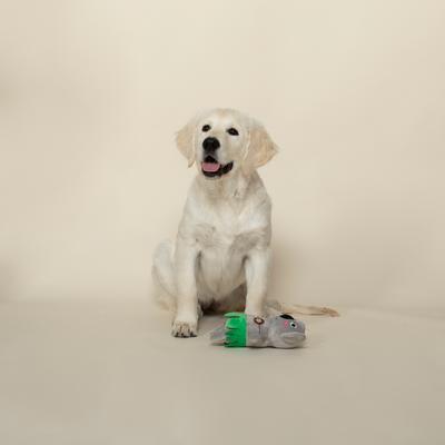 Show full view: Fringe Studio Shake Your Palm Palms Plush Dog Toy slide 3 of 4