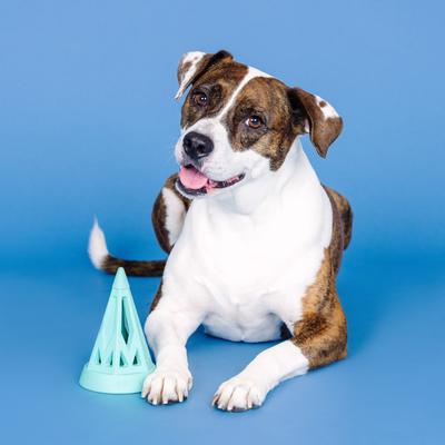 Show full view: Fringe Studio You Cone Do It Rubber Dog Toy, Turquoise slide 7 of 9