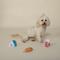 Show in main carousel: Fringe Studio Fair Foods 3 Piece Small Dog Toy slide 3 of 4