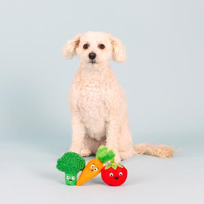 Show full view: Fringe Studio Farm To Table 3 Piece Small Dog Toy slide 5 of 6