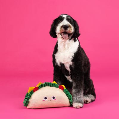 Show full view: Fringe Studio Fantas Taco Large Plush Toy slide 2 of 5