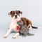 Show in main carousel: Fringe Studio Rocker Rex Plush Dog Toy slide 5 of 6