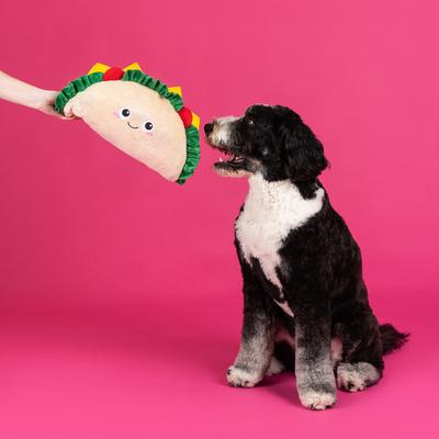 Show full view: Fringe Studio Fantas Taco Large Plush Toy slide 4 of 5