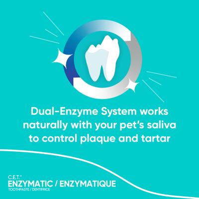 Show full view: Virbac C.E.T. Enzymatic Malt Flavor Dog & Cat Toothpaste, 70 gram slide 5 of 10