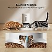 Show in main carousel: Petlibro Granary WIFI Automatic Two Cat & Dog Feeder with Camera & 3 Pet Food Desiccant Bags, White, 5L slide 7 of 11