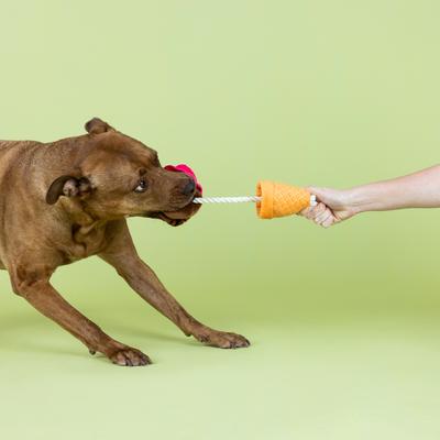 Show full view: Fringe Studio Losing Conetrol Plush Dog Toy slide 3 of 6