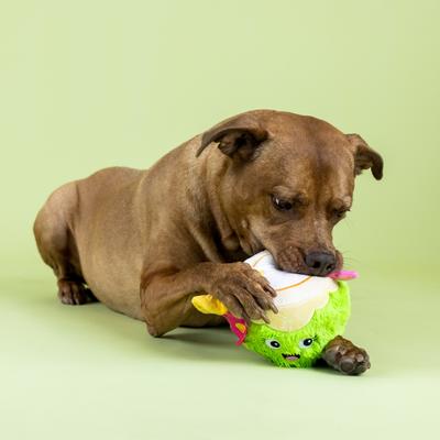 Show full view: Fringe Studio Coconuts About You Plush Dog Toy slide 5 of 6