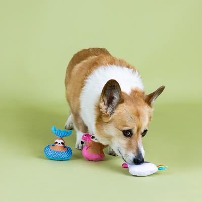 Show full view: Fringe Studio Just Keep Floating 3 Piece Small Dog Toy slide 5 of 6