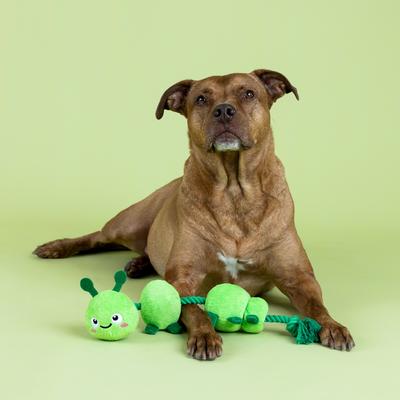 Show full view: Fringe Studio Pillar Of SocieToy Plush Dog Toy slide 3 of 6