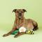 Show in main carousel: Fringe Studio Im Pollen For You Plush Dog Toy slide 3 of 6