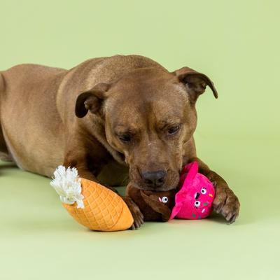 Show full view: Fringe Studio Losing Conetrol Plush Dog Toy slide 4 of 6