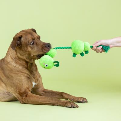 Show full view: Fringe Studio Pillar Of SocieToy Plush Dog Toy slide 4 of 6