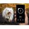 Show in main carousel: Samsung Galaxy SmartTag2 Bluetooth Tracker Dog Pet Finder Tag, White, 1 slide 3 of 11