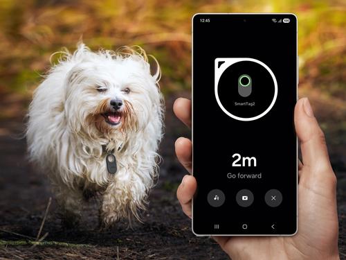 Show full view: Samsung Galaxy SmartTag2 Bluetooth Tracker Dog Pet Finder Tag, White, 1 slide 3 of 11