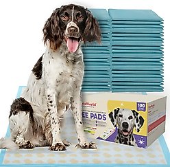 PetsWorld Health-Indicator Dog Training Pee Pads, Unscented, 36 x 36-in, 100 count
