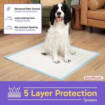 Show full view: PetsWorld Health-Indicator Dog Training Pee Pads, Unscented, 36 x 36-in, 25 count slide 3 of 7