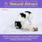 Show in main carousel: PetsWorld Health-Indicator Dog Training Pee Pads, Unscented, 36 x 36-in, 25 count slide 6 of 7