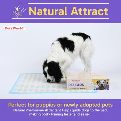 Show full view: PetsWorld Health-Indicator Dog Training Pee Pads, Unscented, 36 x 36-in, 25 count slide 6 of 7