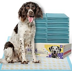 PetsWorld Health-Indicator Dog Training Pee Pads, Unscented, 36 x 36-in, 25 count