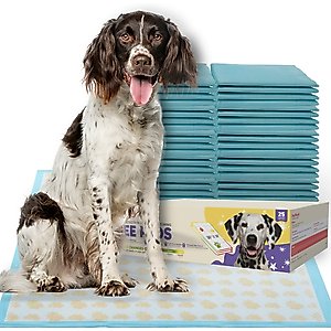 PetsWorld Health-Indicator Dog Training Pee Pads, Unscented, 36 x 36-in, 25 count
