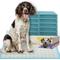 Show in main carousel: PetsWorld Health-Indicator Dog Training Pee Pads, Unscented, 36 x 36-in, 25 count slide 1 of 7
