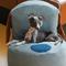 Show in main carousel: ZEZE Denim Furniture Style Sofa Dog Bed, Grey, Medium slide 5 of 11