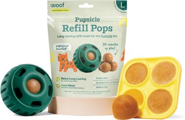 Woof Starter Pack Chicken & Peanut Butter Flavored Treats, Silicone Mold & Pupsicle Dog Toy, Large