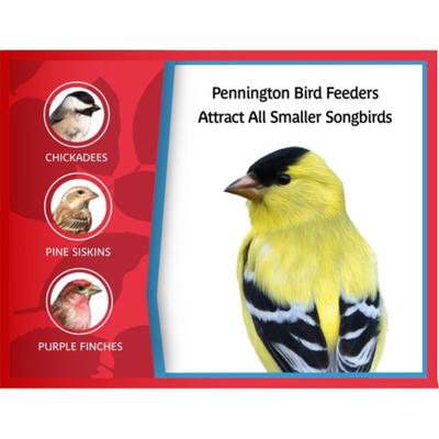 Show full view: Pennington Copper Roof Songbird Villa Seed Bird Feeder slide 4 of 9