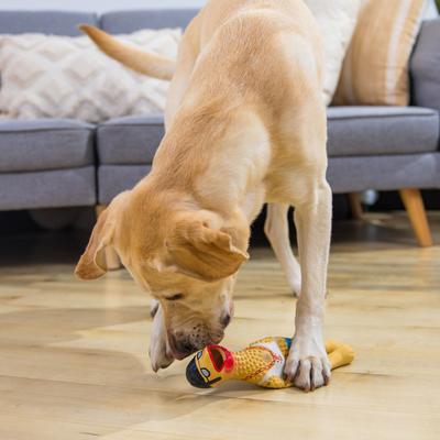 Show full view: Outward Hound Squawkers Squeaky Latex Dog Toy, Earl, Large slide 6 of 11