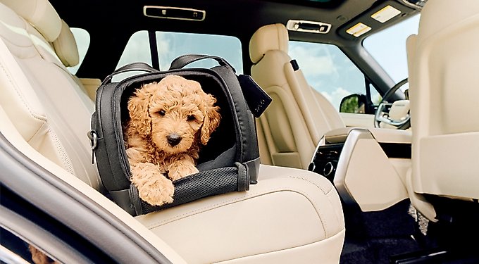 Tavo Pets Dupree II Airline Carry-On Dog & Cat Car Seat