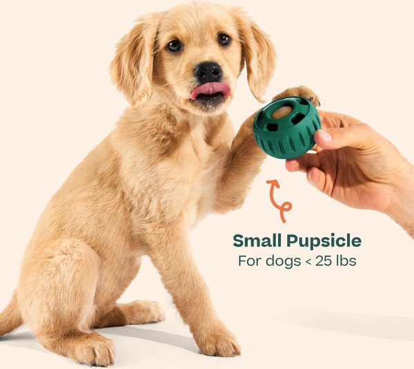 Show full view: Woof Starter Pack Peanut Butter & Chicken Flavored Treats, Silicone Mold & Pupsicle Dog Toy, Small slide 7 of 11