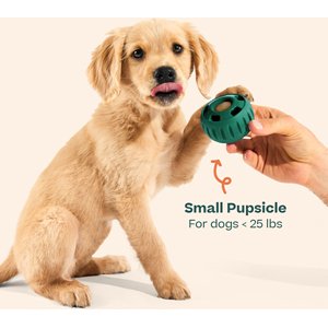 Woof Starter Pack Chicken & Peanut Butter Flavored Treats, Silicone Mold & Pupsicle Dog Toy, Small