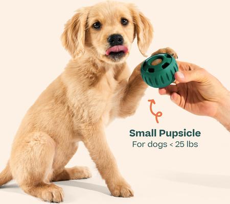 Show full view: Woof Starter Pack Chicken & Peanut Butter Flavored Treats, Silicone Mold & Pupsicle Dog Toy, Small slide 7 of 11