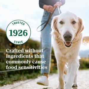 Nutro Limited Ingredient Diet Premium Loaf Turkey & Potato Grain-Free Adult Canned Wet Dog Food, 12.5-oz, case of 12