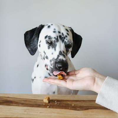 Show full view: Pet Releaf Edibites Digestive Releaf Organic Sweet Potato Flavored Chew Full Spectrum Hemp Extract Digestive Health Supplement for Medium & Large Dogs, 30 count slide 4 of 5