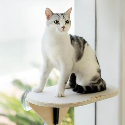 Show full view: MewooFun Cat Wall Shelves, Natural slide 3 of 5