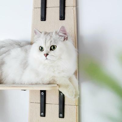 Show full view: MewooFun 4-Level Carpeted Wooden Cat Wall Shelves, Natural slide 3 of 3