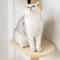 Show in main carousel: MewooFun 4-Level Wooden Cat Wall Shelves, Natural slide 4 of 5