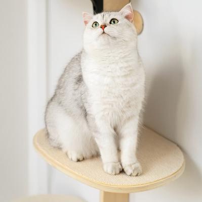 Show full view: MewooFun 4-Level Wooden Cat Wall Shelves, Natural slide 4 of 5