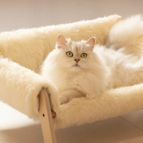 MewooFun Plush Wooden Dog & Cat Sofa Bed, 20.9-in