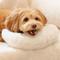 Show in main carousel: MewooFun Fluffy U-Shaped Dog & Cat Pillow, 10.63-in, White slide 6 of 6